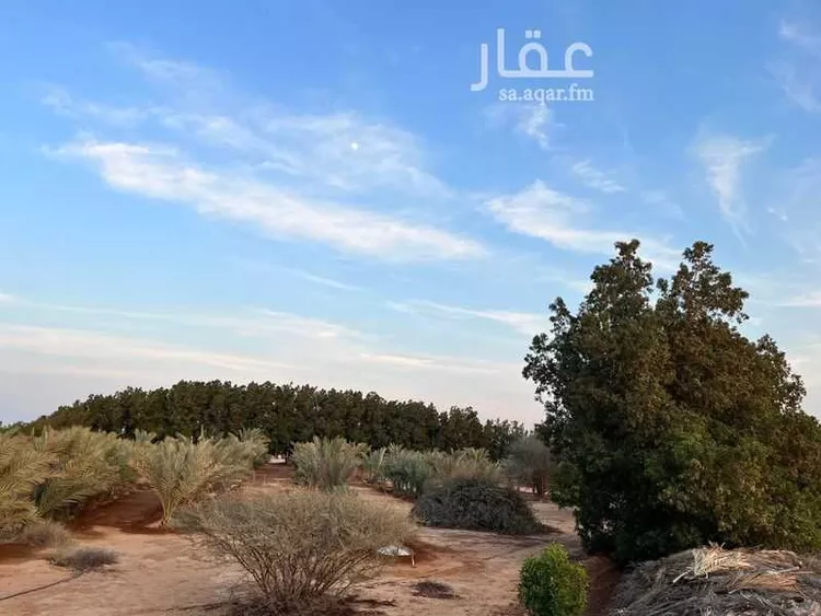 أرض للبيع في شارع شارع طابة 4, حي طابة, مدينة جدة, منطقة مكة المكرمة