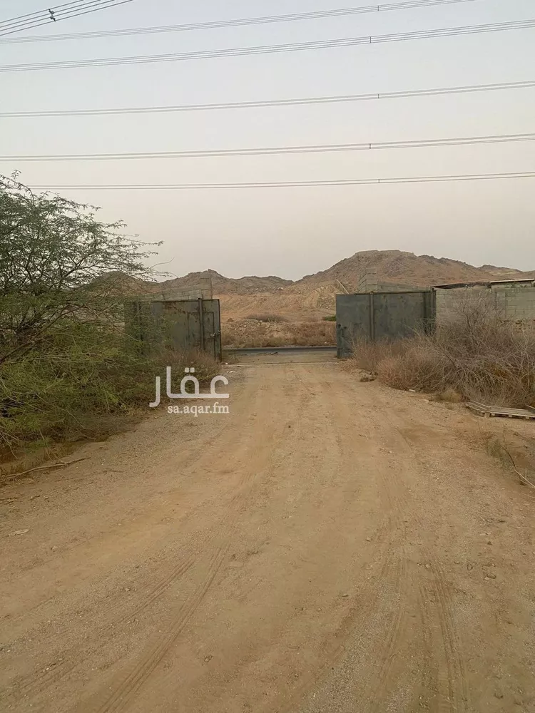 مزرعة للبيع في شارع انس بن قتادة الباهلي, مدينة جدة, منطقة مكة المكرمة صورة 4