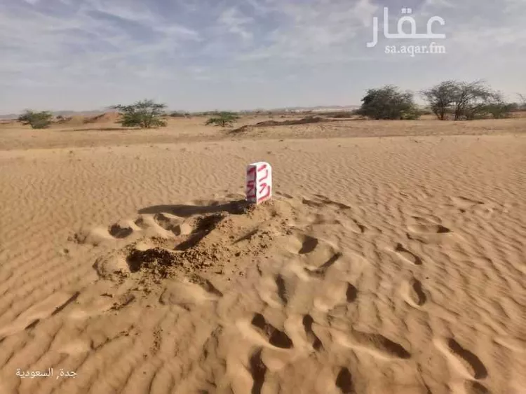 أرض للبيع في حي الوداد, مدينة جدة, منطقة مكة المكرمة صورة 2