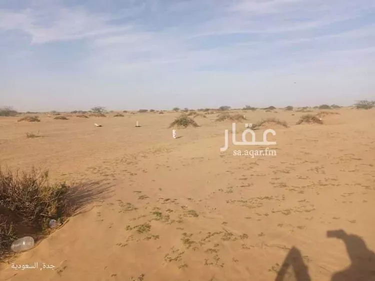 أرض للبيع في حي الوداد, مدينة جدة, منطقة مكة المكرمة