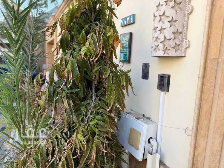 فيلا للإيجار في شارع ابو الحسن الحلي, حي المحمدية, مدينة جدة, منطقة مكة المكرمة 29