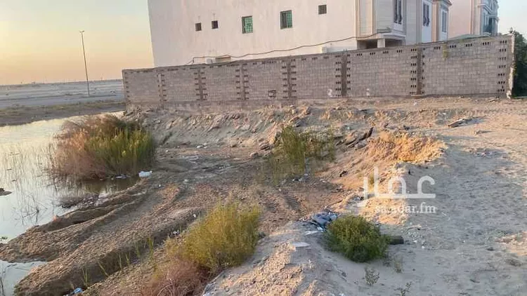 أرض للبيع في شارع ام الساهك 773 ، صفوى ، القطيف صورة 2