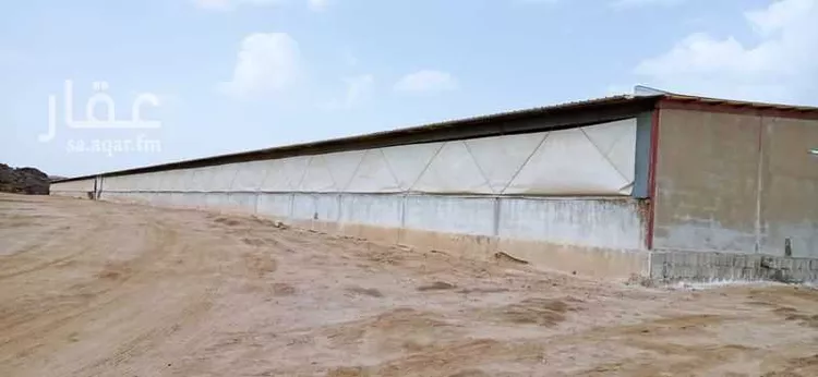 مزرعة للبيع في وادي ابن هشبل