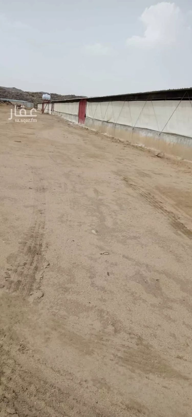 مزرعة للبيع في وادي ابن هشبل صورة 3