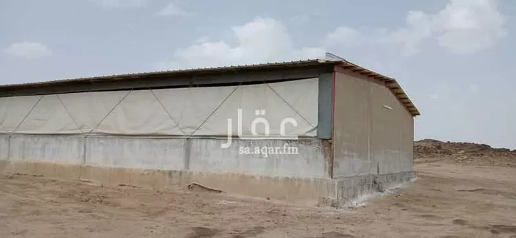 مزرعة للبيع في وادي ابن هشبل صورة 2