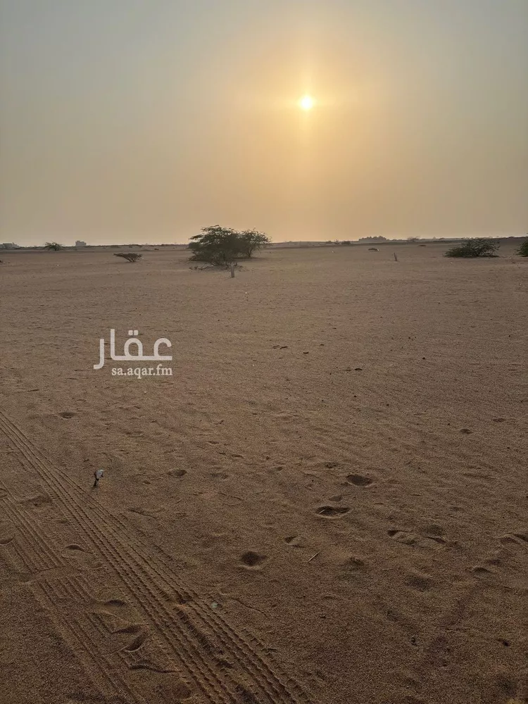 أرض للبيع في حي الجزيرة, مدينة جدة, منطقة مكة المكرمة صورة 2