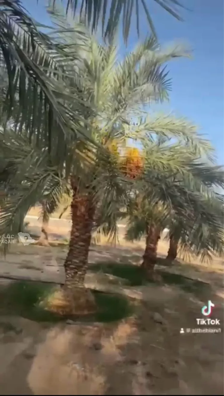 مزرعة للبيع في حي المديد وطابا والغال, مدينة المديد وطابا والغال, منطقة مكة المكرمة 8