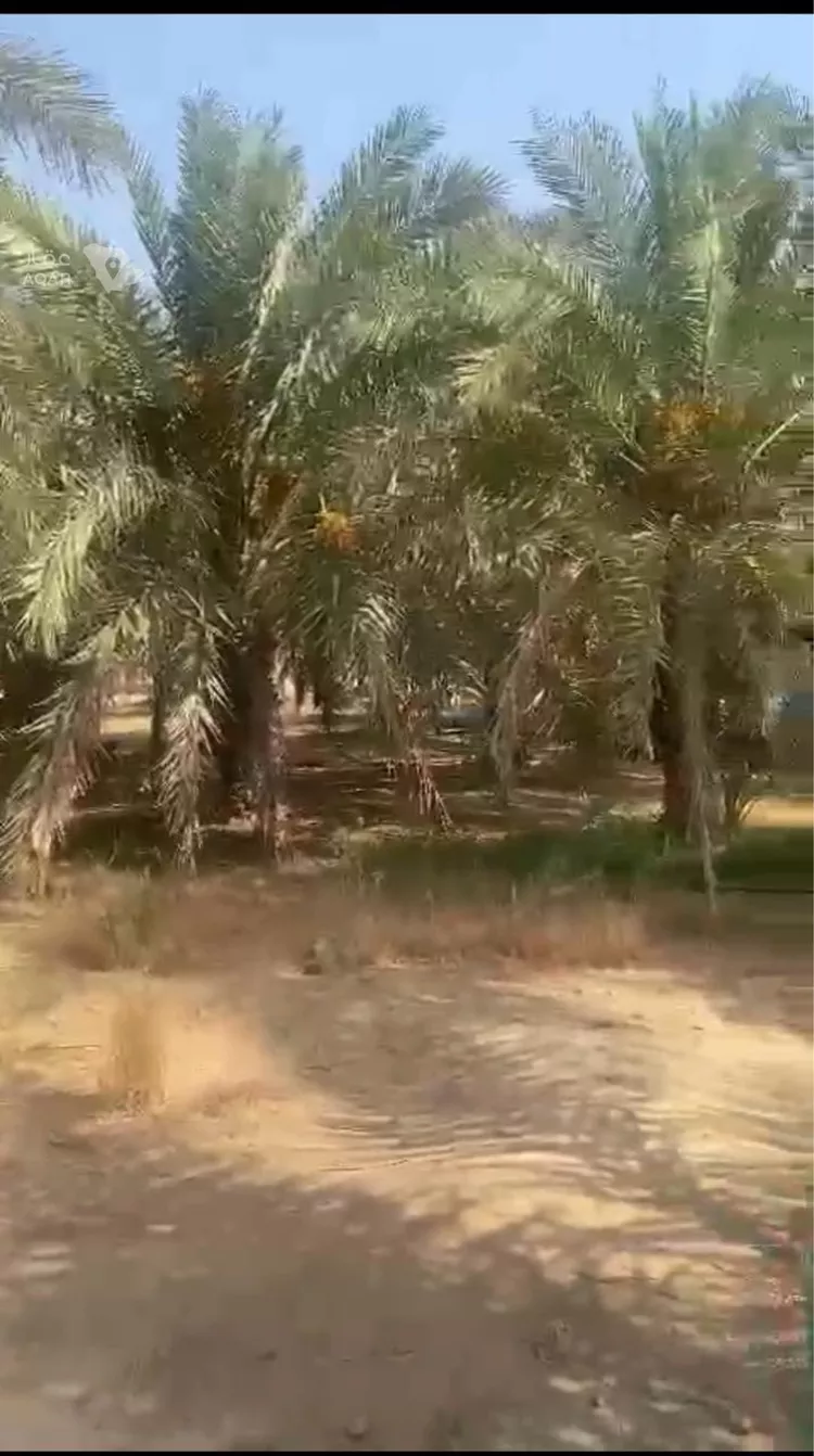 مزرعة للبيع في حي المديد وطابا والغال, مدينة المديد وطابا والغال, منطقة مكة المكرمة 17