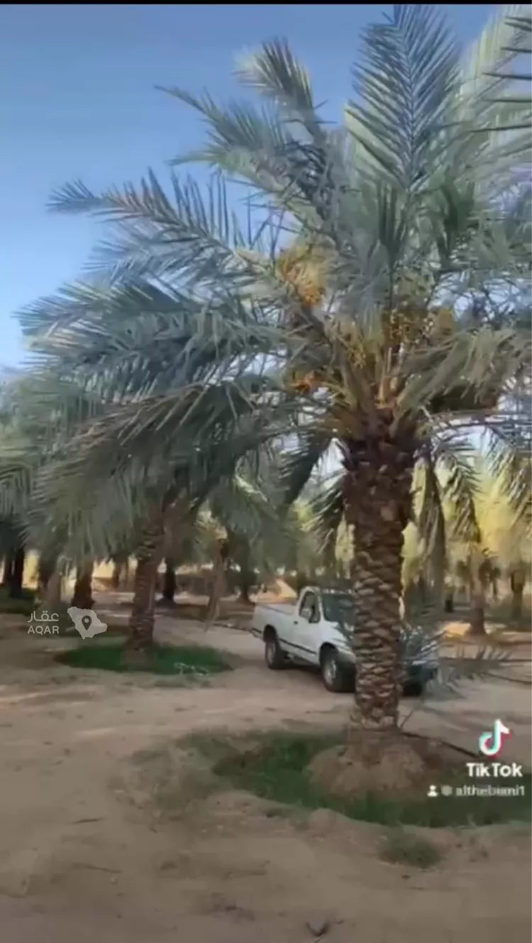 مزرعة للبيع في حي المديد وطابا والغال, مدينة المديد وطابا والغال, منطقة مكة المكرمة 9
