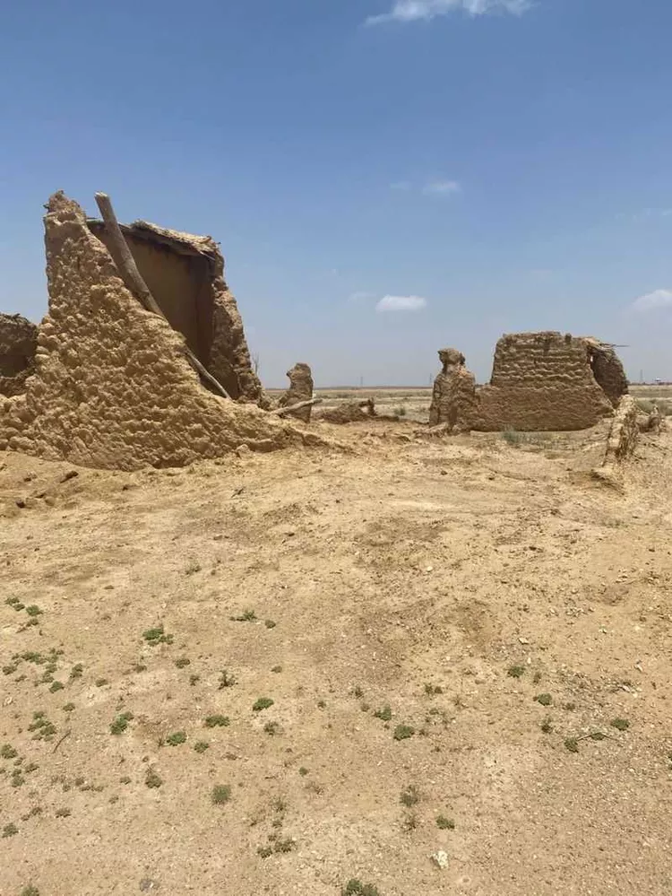أرض للبيع في مدينة مرغان, منطقة القصيم صورة 4