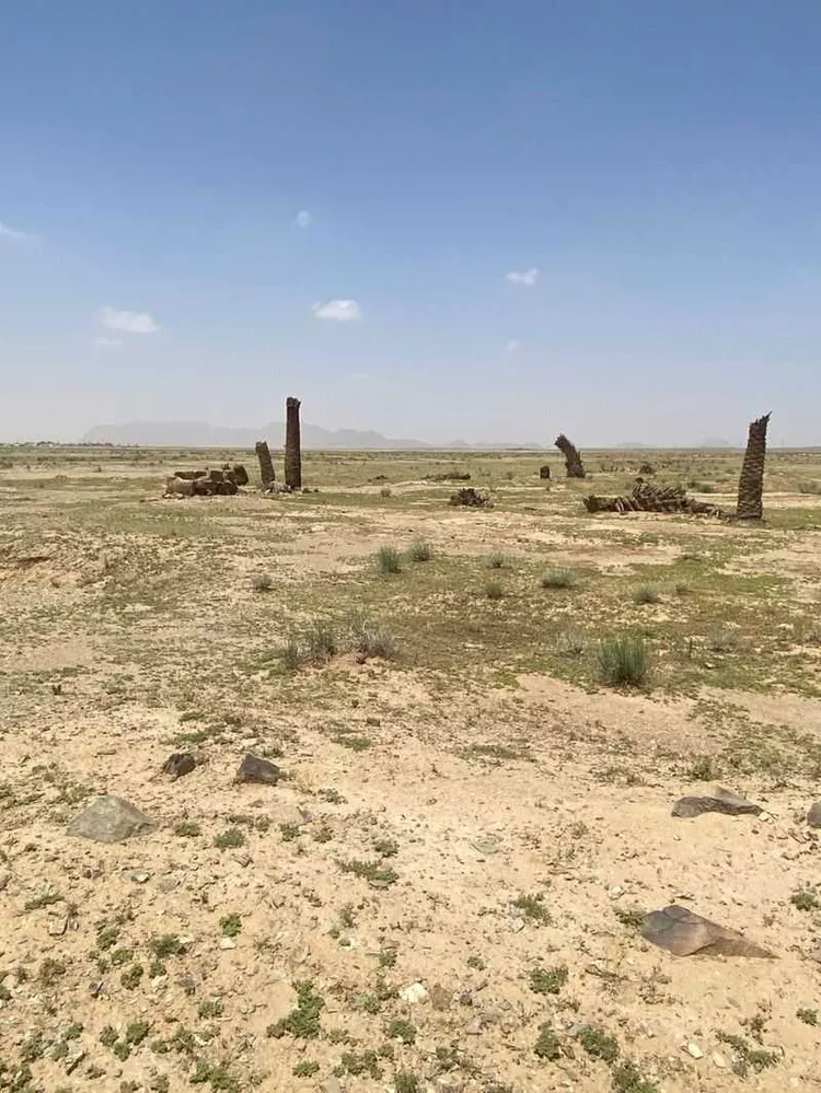 أرض للبيع في مدينة مرغان, منطقة القصيم صورة 3