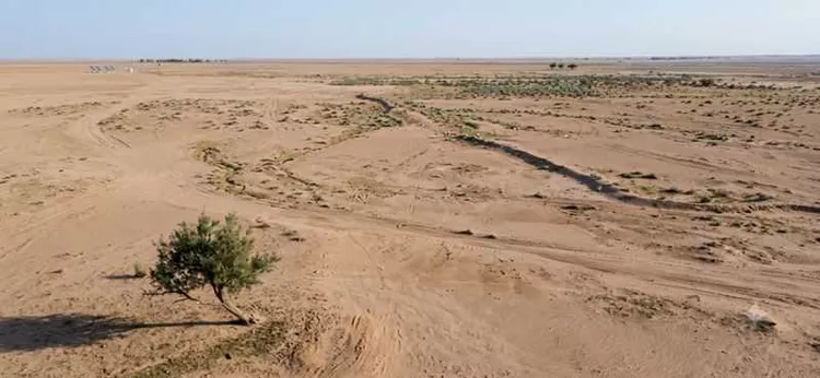 أرض للبيع في مدينة الذيبية, منطقة القصيم صورة 2