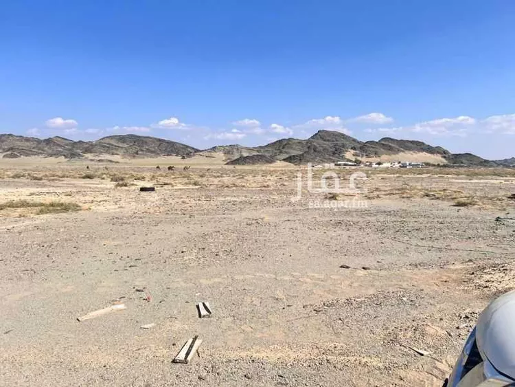 أرض للإيجار في شارع اليتمة 829, حي اليتمة, مدينة اليتمة, منطقة المدينة المنورة صورة 4