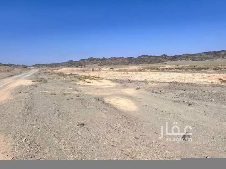 أرض للإيجار في شارع اليتمة 829, حي اليتمة, مدينة اليتمة, منطقة المدينة المنورة صورة 2