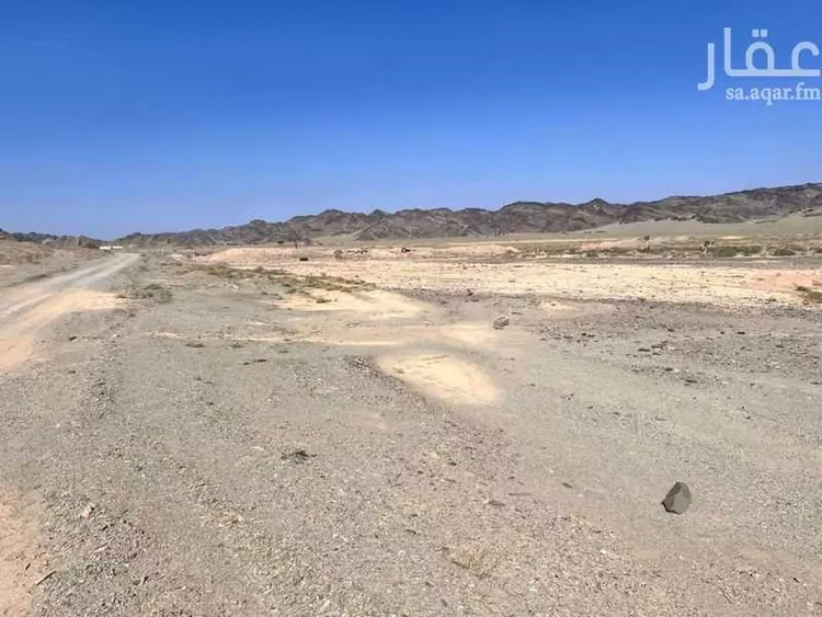 مزرعة للبيع في حي اليتمة, مدينة اليتمة, منطقة المدينة المنورة صورة 4