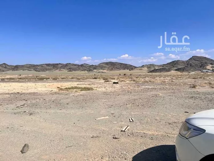 مزرعة للبيع في حي اليتمة, مدينة اليتمة, منطقة المدينة المنورة صورة 3