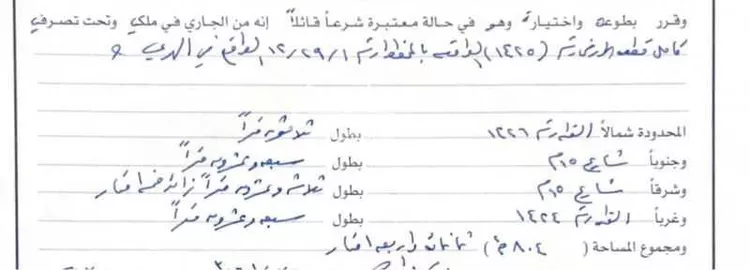 أرض للبيع في شارع عثمان بن مظعون الجمحي رضي الله عنه ، حي الملك فهد ، مكة ، منطقة مكة المكرمة صورة 2