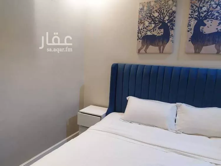 Furnished Apartment for Booking in Riyadh Ghirnatah 9