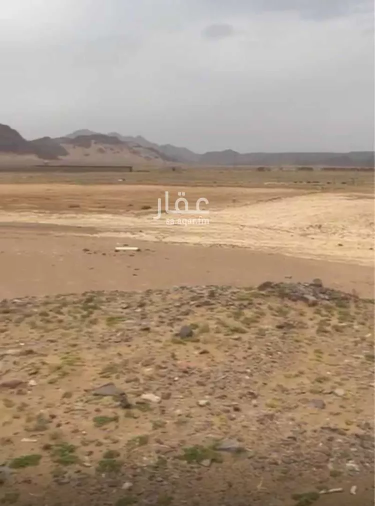أرض للبيع في حي المليليح, مدينة المدينه المنوره, منطقة المدينة المنورة صورة 4