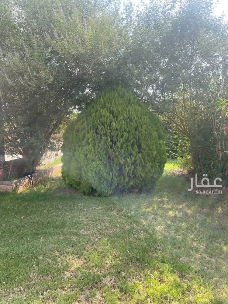 استراحة للبيع في القاعد ، منطقة حائل صورة 3