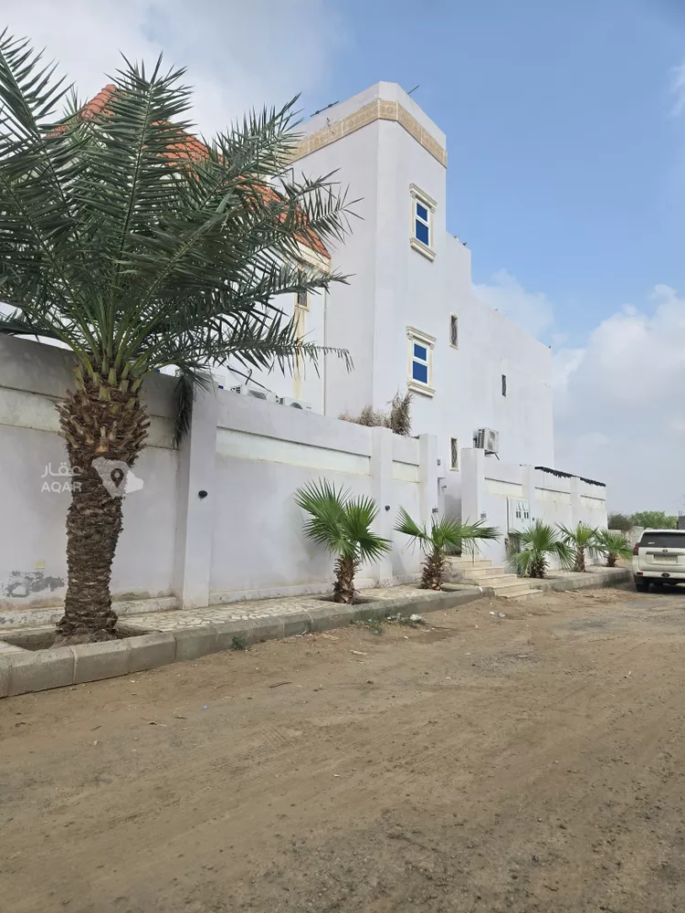 Apartment for Rent in Sabya Al Hashibariyah 6