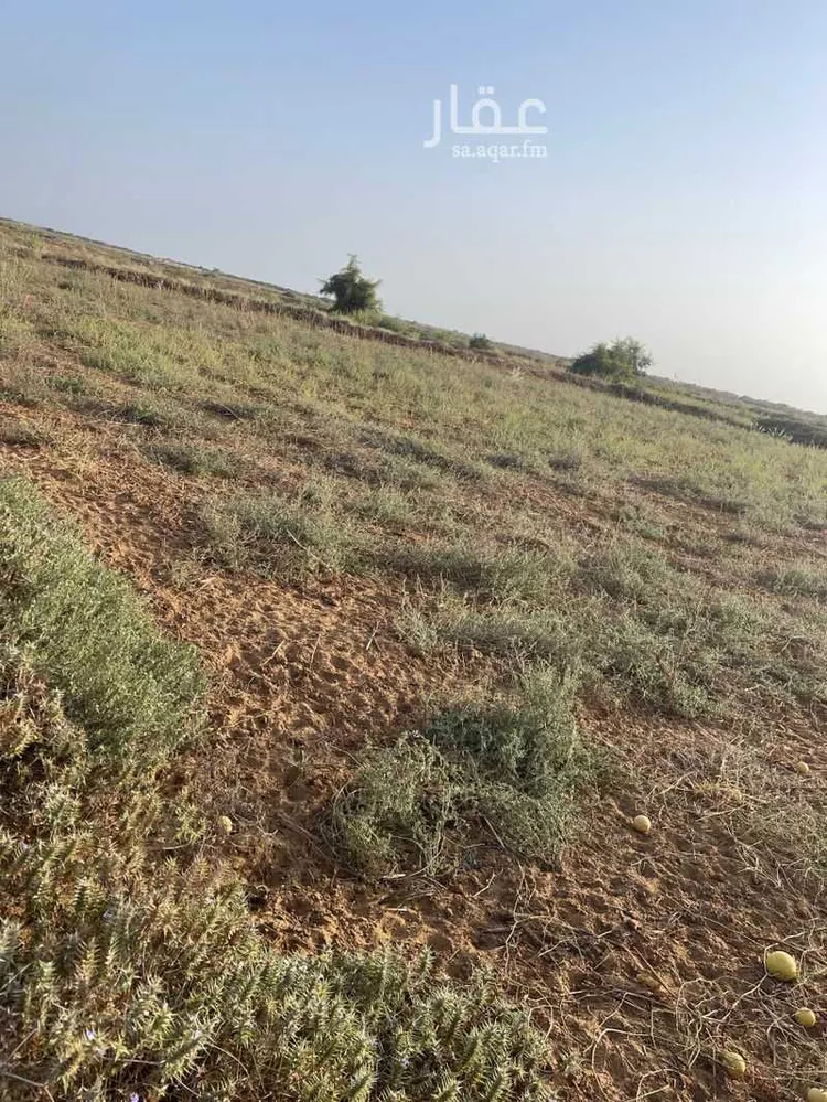 أرض للبيع في مدينة الإسكان ، احد المسارحة