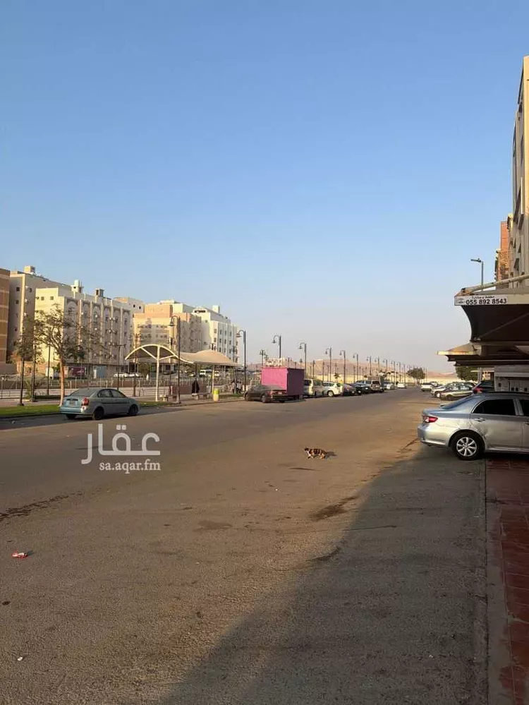 شقة للإيجار في شارع صالح بن محمد التويجري ، حي النخيل ، جدة ، جدة صورة 4