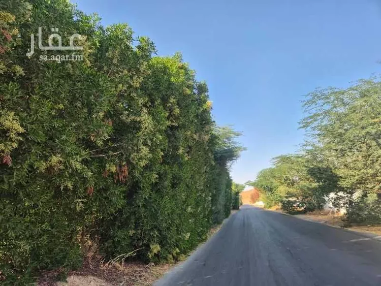 مزرعة للبيع في شارع المنيصف 2006, مدينة الهياثم, منطقة الرياض