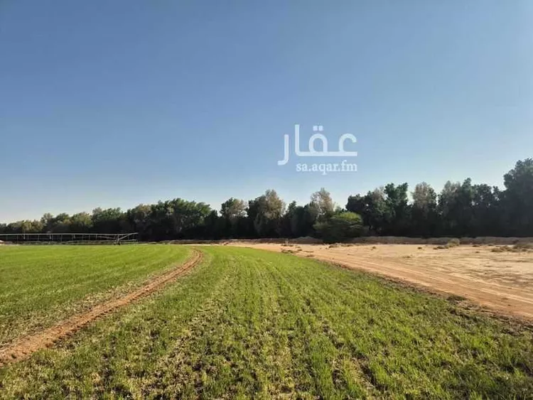 مزرعة للبيع في شارع المنيصف 2006, مدينة الهياثم, منطقة الرياض صورة 3