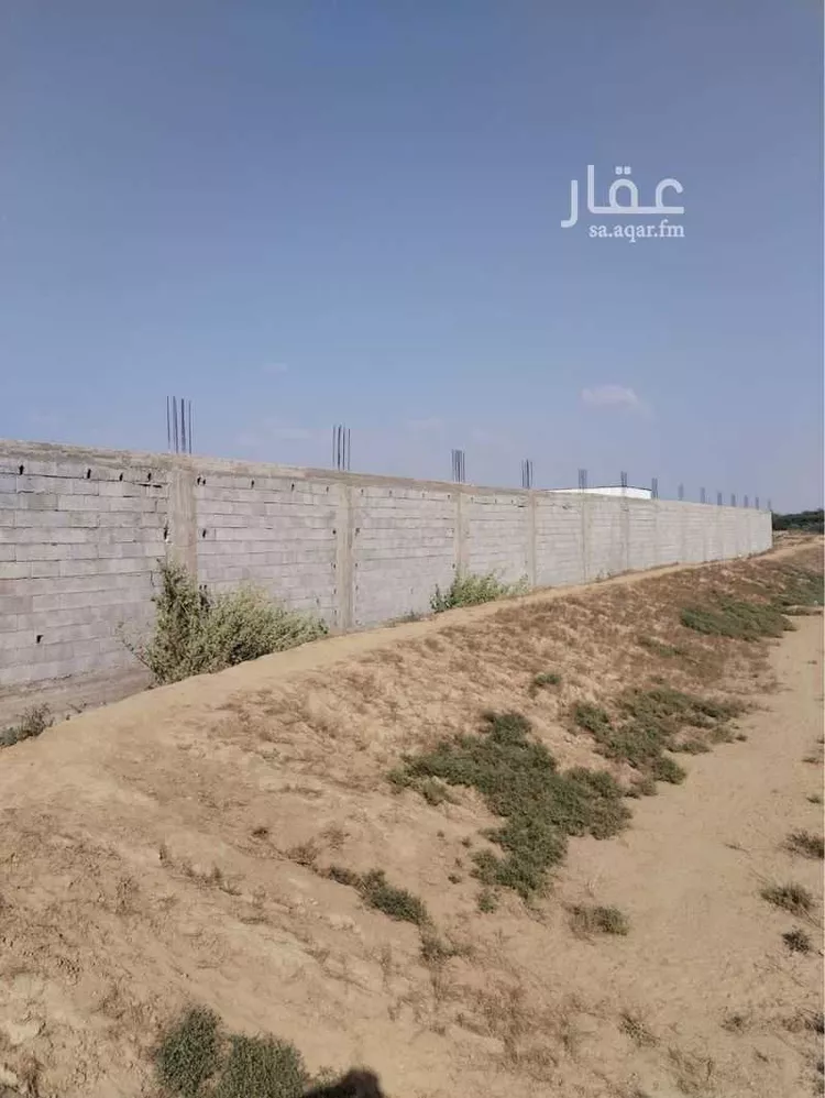 أرض للبيع في شارع فيفا 44 ، الشملاة ، فيفا صورة 4