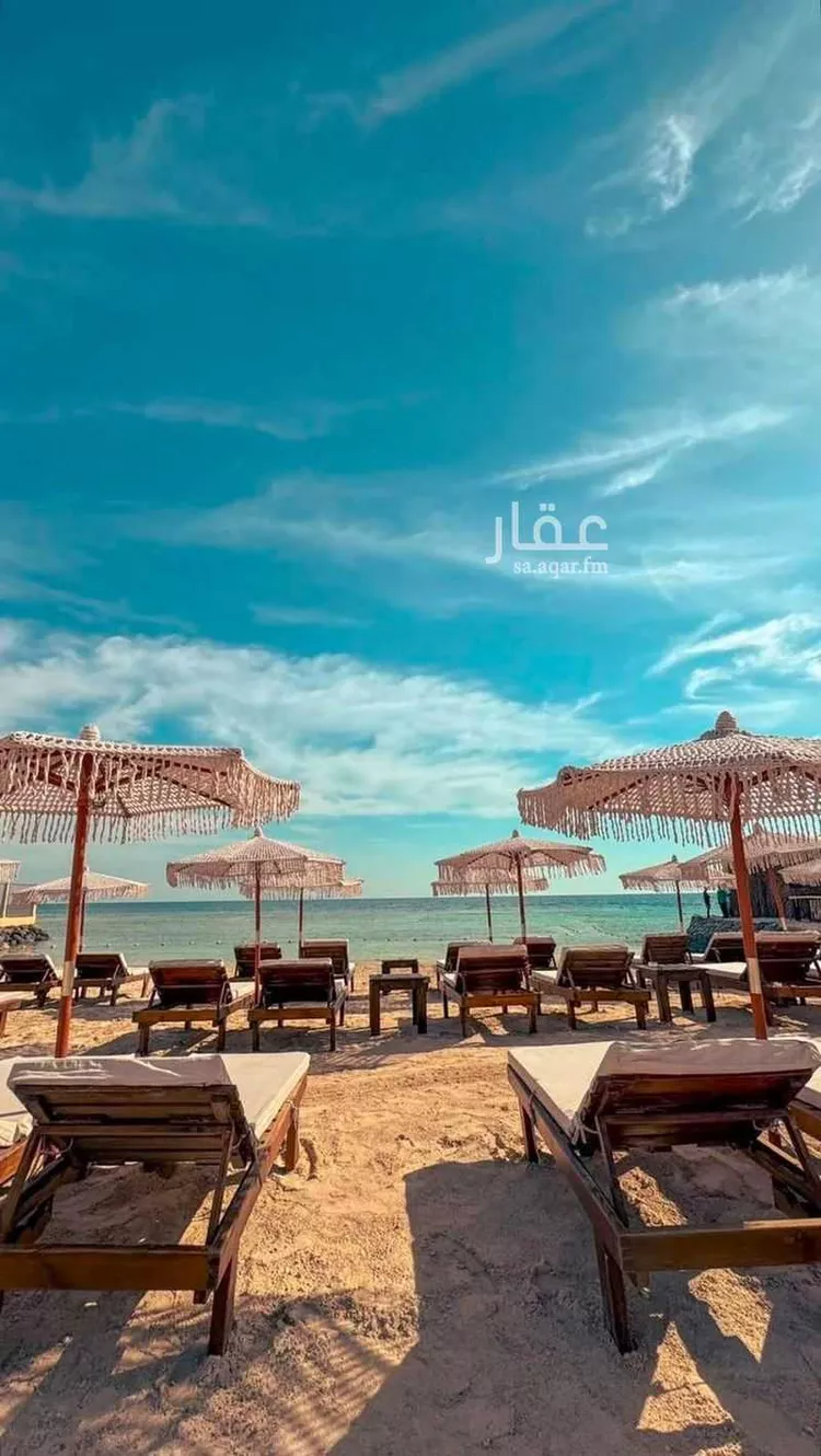 شقة للإيجار في شارع الملك الصالح أيوب بن الكامل, حي المروج, مدينة جدة, منطقة مكة المكرمة صورة 2