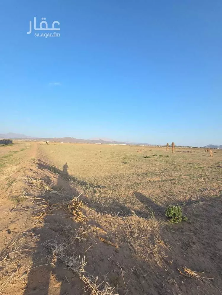 مزرعة للبيع في شارع بواط, حي المليليح, مدينة المدينة المنورة, منطقة المدينة المنورة صورة 3