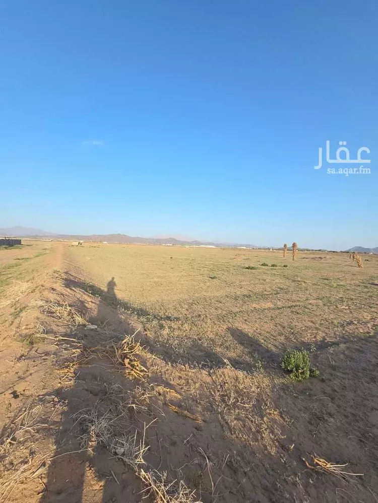 أرض للبيع في بواط ، منطقة المدينة المنورة صورة 3