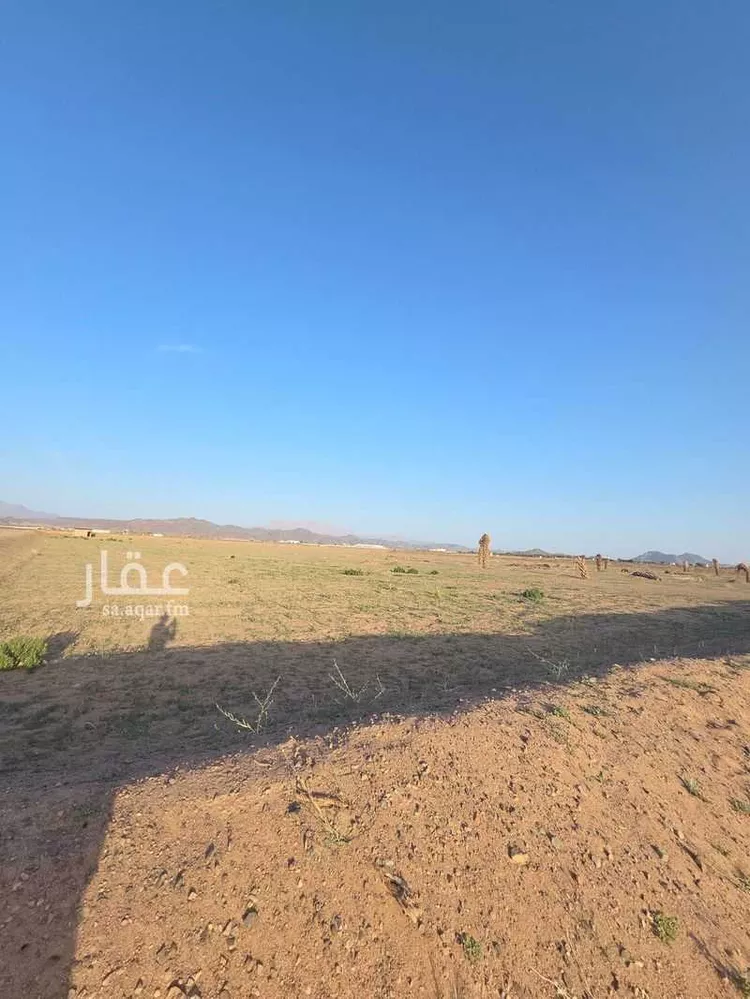 مزرعة للبيع في شارع بواط, حي المليليح, مدينة المدينة المنورة, منطقة المدينة المنورة