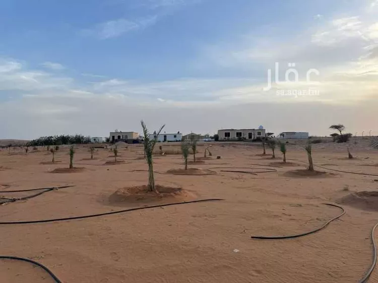 مزرعة للبيع في حي الوسيطا, مدينة الوسيطا, منطقة الرياض