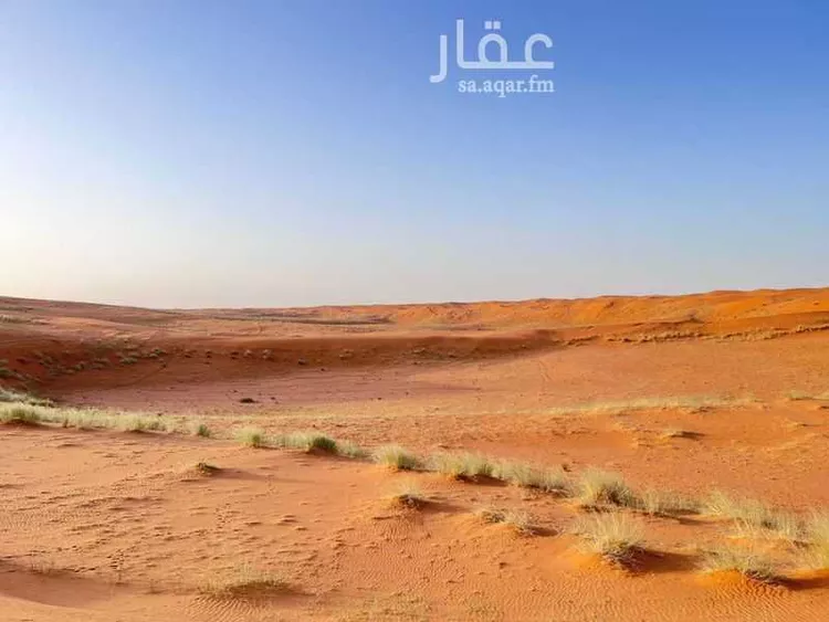 مزرعة للبيع في حي سنقيه, مدينة سنقيه, منطقة الرياض