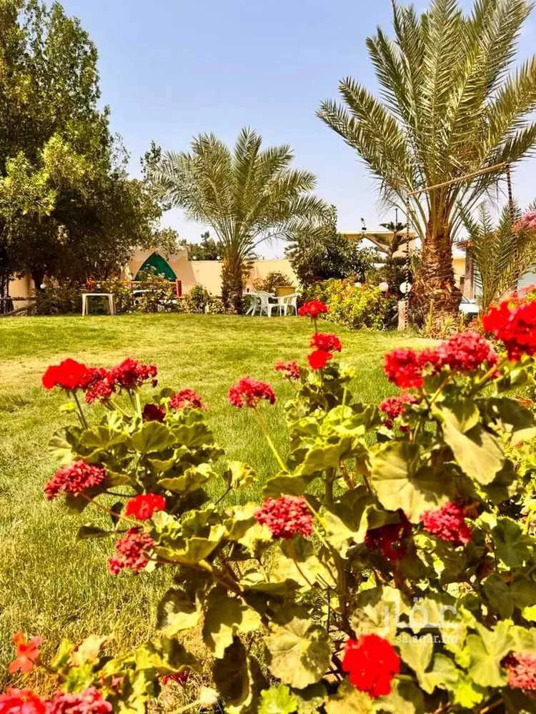 عمارة للبيع في حي الهدا, مدينة الطائف, منطقة مكة المكرمة صورة 5