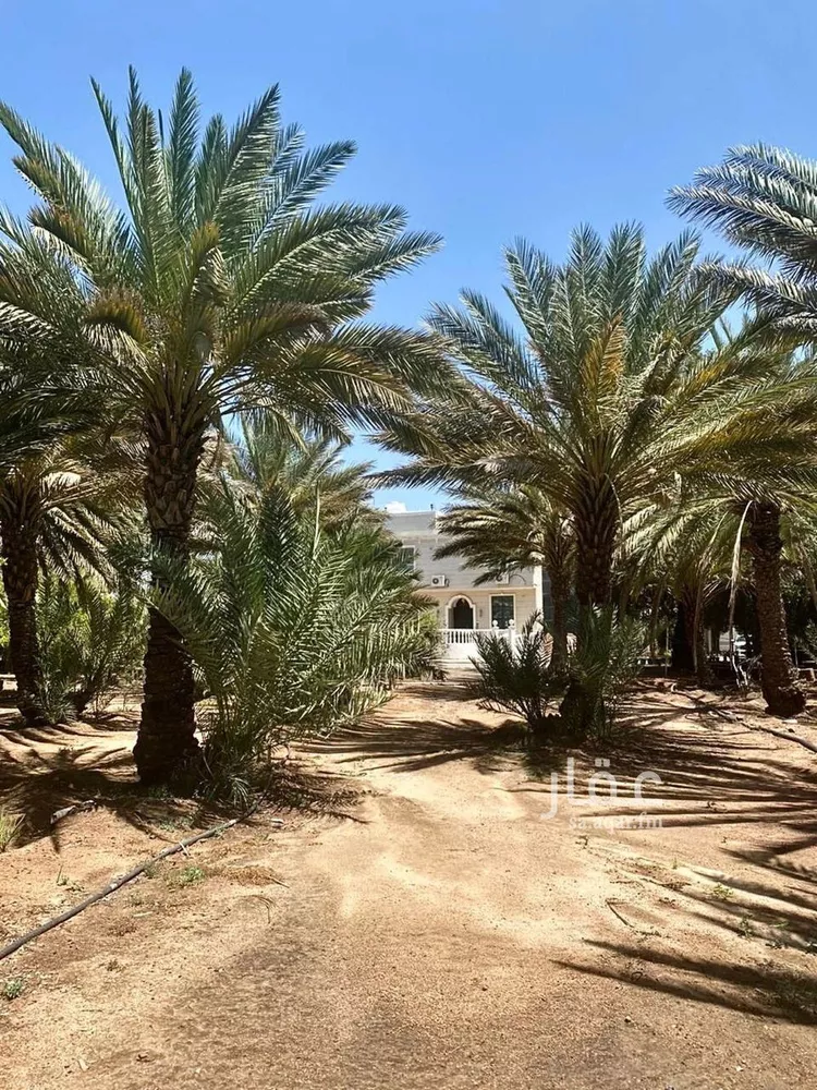 مزرعة للبيع في شارع ربيعة ابن رواء العنسي, حي مثملة, مدينة الطائف, منطقة مكة المكرمة 6