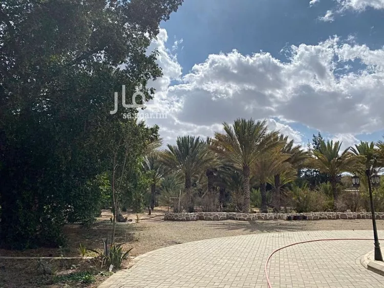 مزرعة للبيع في شارع ربيعة ابن رواء العنسي, حي مثملة, مدينة الطائف, منطقة مكة المكرمة صورة 5