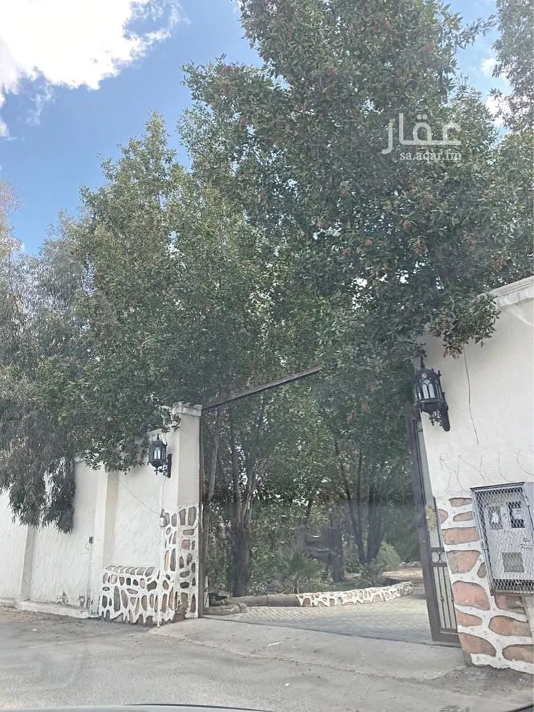 مزرعة للبيع في شارع ربيعة ابن رواء العنسي, حي مثملة, مدينة الطائف, منطقة مكة المكرمة صورة 3