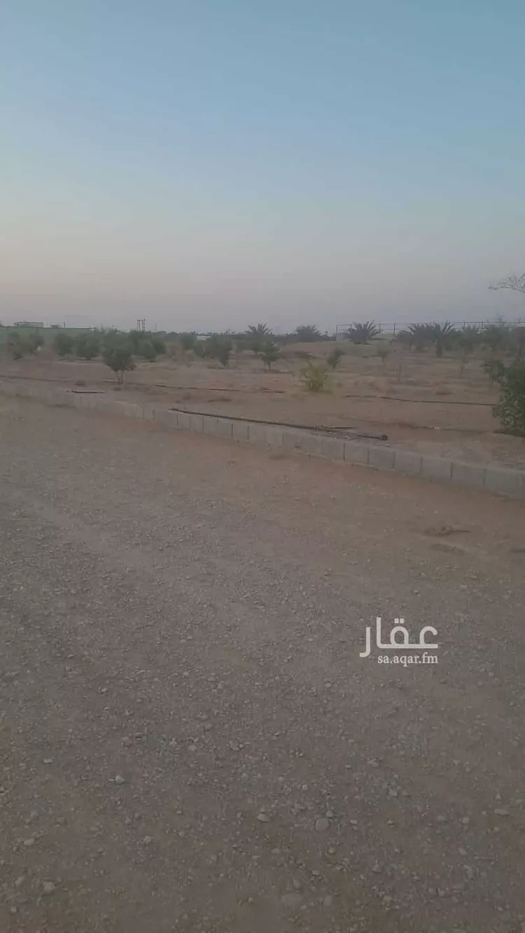 مزرعة للبيع في شارع حمد بن عتيق, حي دقله, مدينة دقله, منطقة الرياض صورة 4