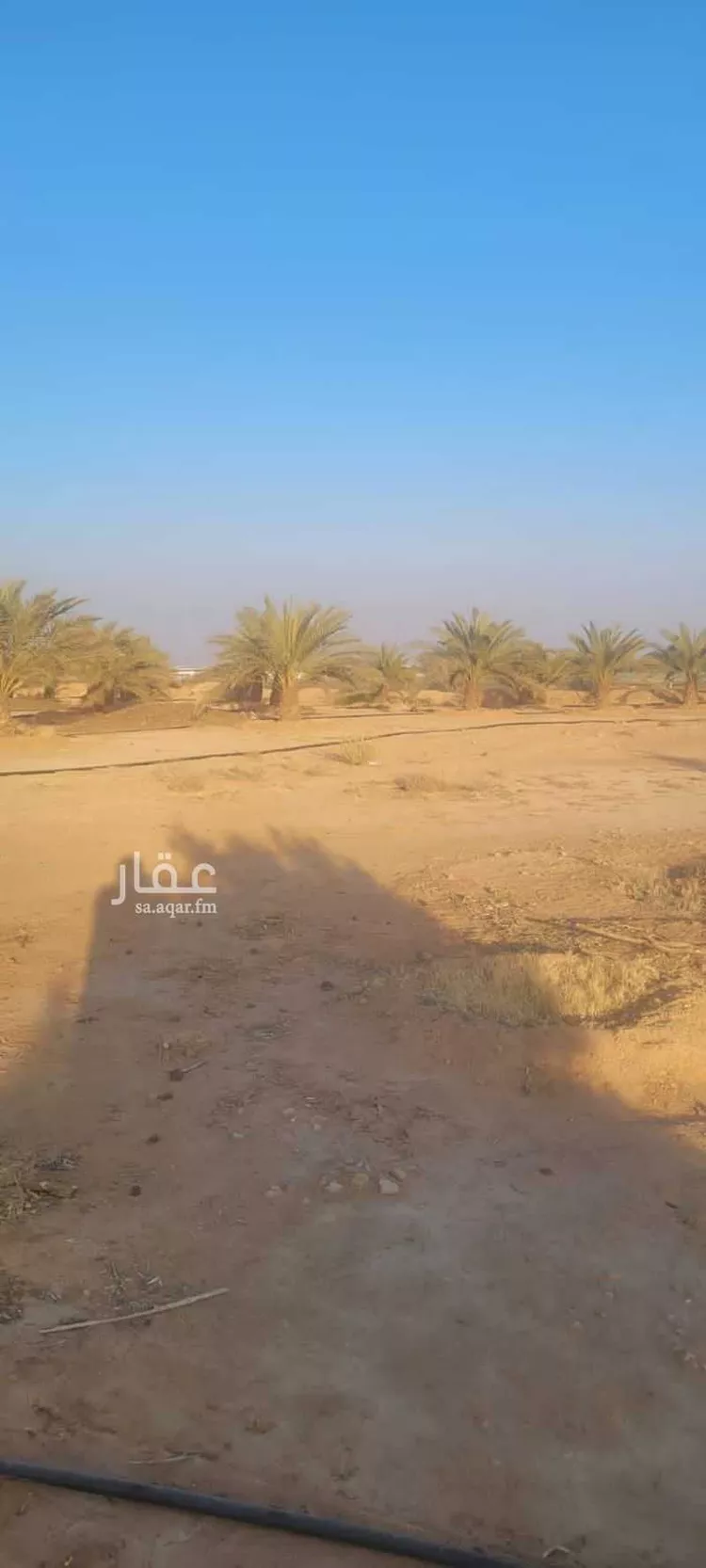 Farm for Sale in Thadiq Ad Deerah Al Kadimah