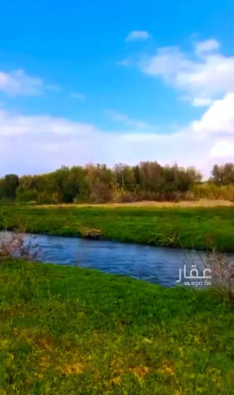 مزرعة للبيع في الطائف ، الطائف صورة 3