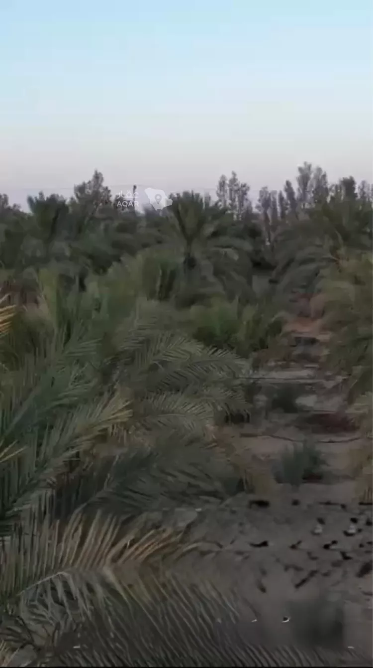 مزرعة للبيع في شارع 00000, مدينة الأجفر, منطقة حائل 5