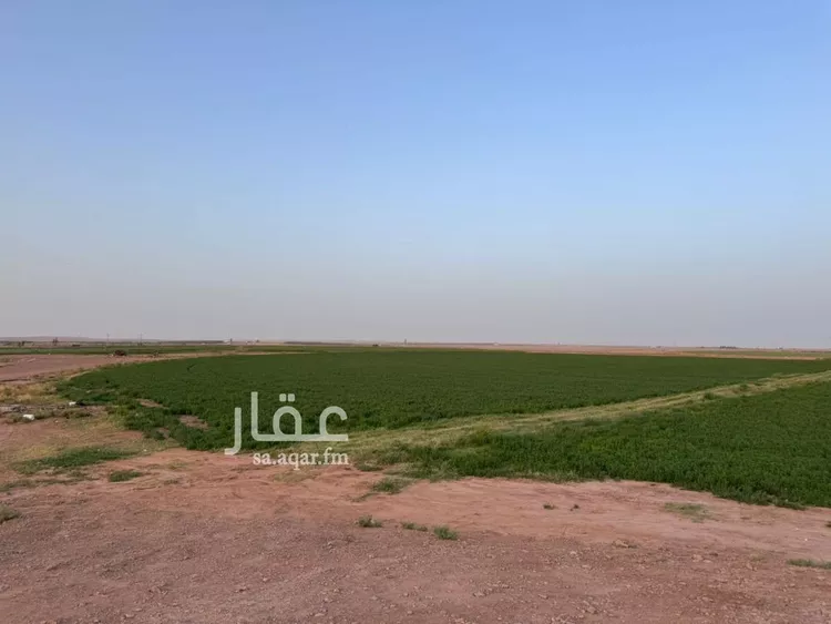 مزرعة للبيع في شارع السمار 59, حي دهيماء الجديده, مدينة دهيماء الجديده, منطقة القصيم