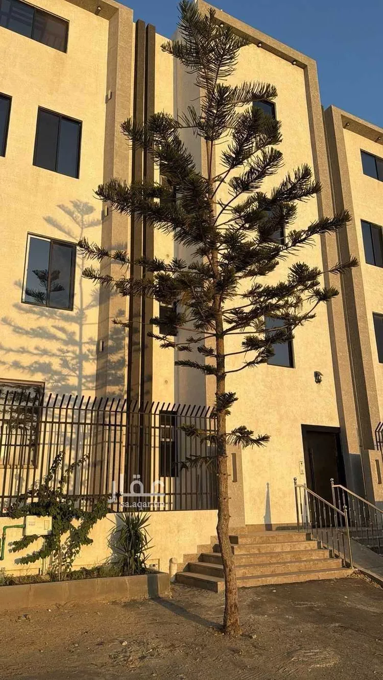 عمارة للإيجار في شارع رخيلة ابن ثعلبة الخزرجي, حي الربيع, مدينة خميس مشيط, منطقة عسير صورة 3