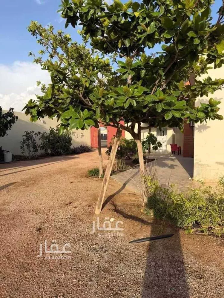 استراحة للبيع في شارع اليزيدي, حي الرحاب, مدينة الطائف, منطقة مكة المكرمة صورة 2