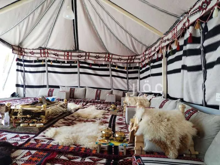 مخيم للحجز في شارع وادي جراب ، حي الموظفين ، الهضبة ، امارة منطقة عسير صورة 4