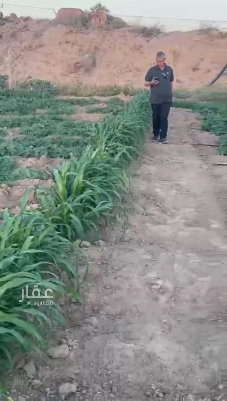 أرض للبيع في حي فيده الوسطي, مدينة فيده الوسطي, منطقة مكة المكرمة