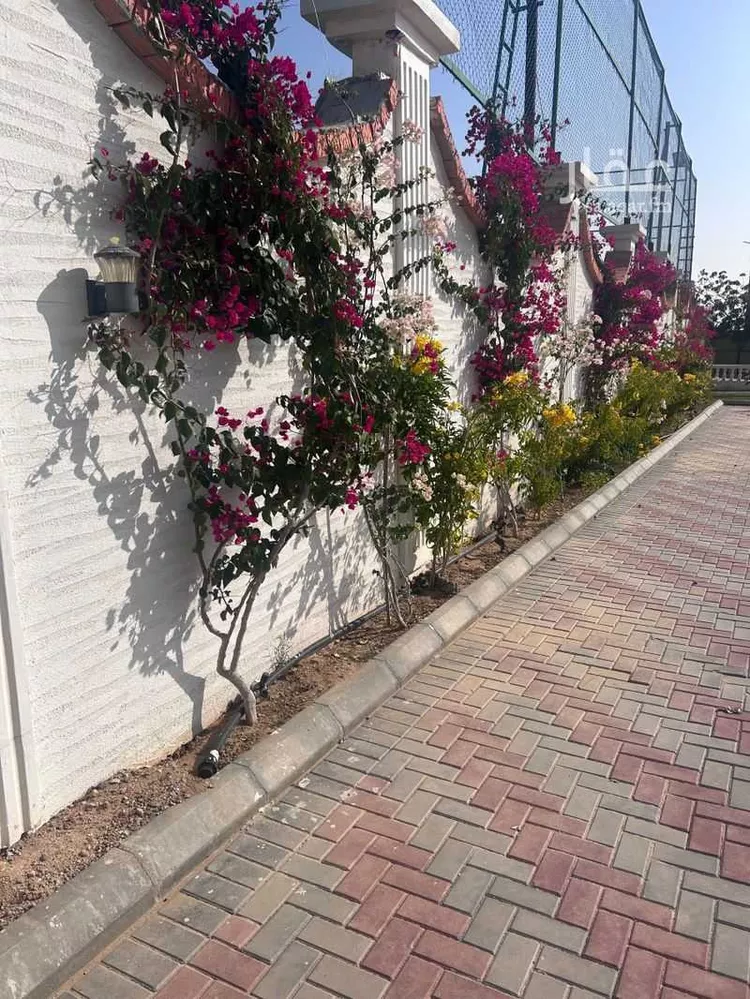 Rest House for Rent in Taif Jubrah 12